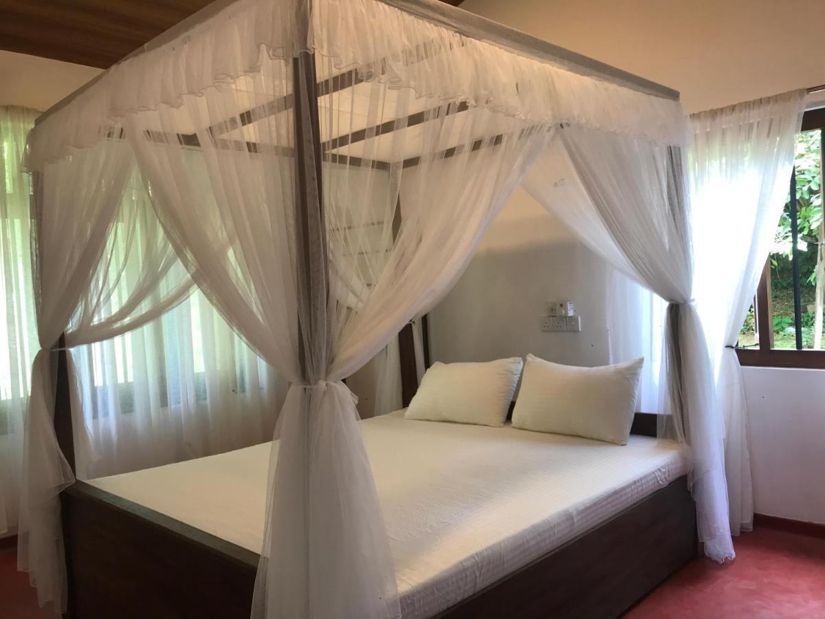 Eco Willow - Kathaluwa Atadahewatugoda Ngoại thất bức ảnh