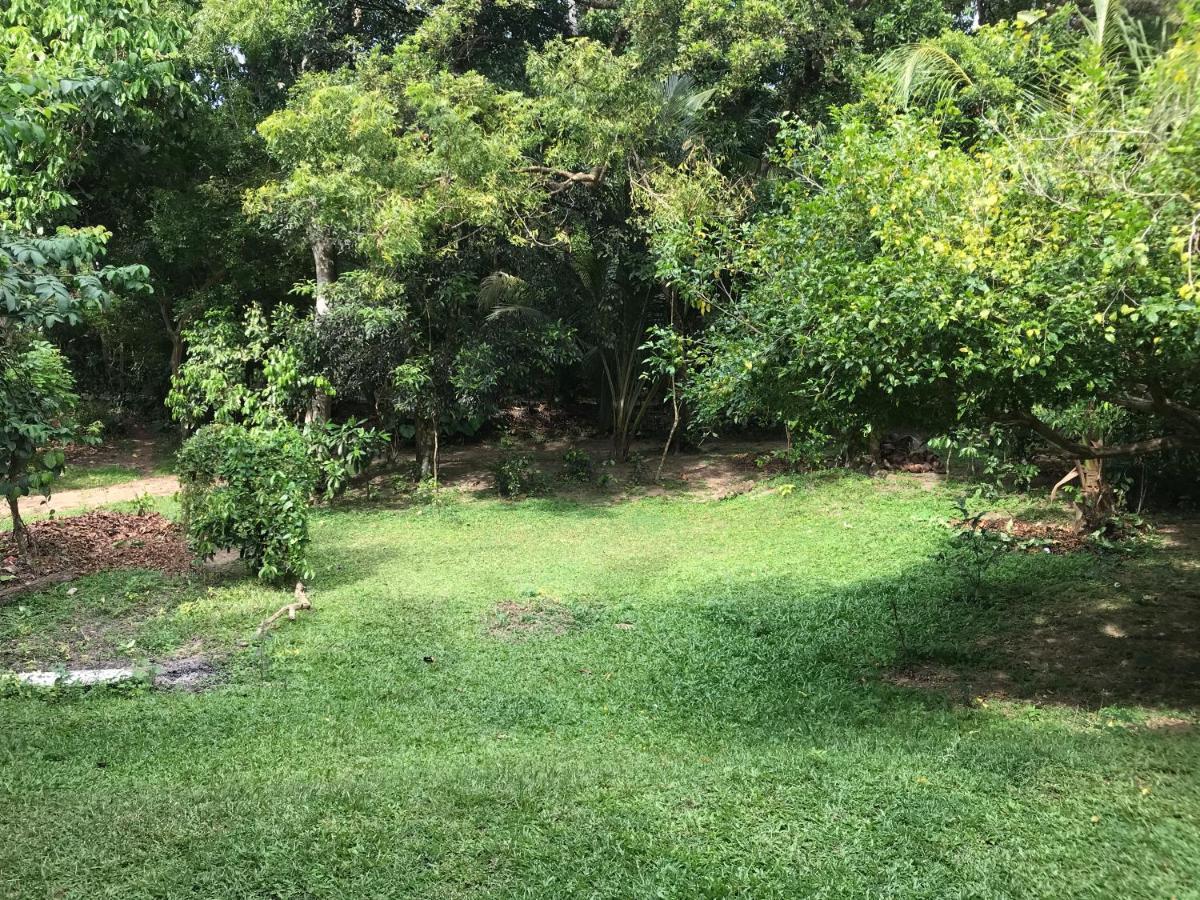 Eco Willow - Kathaluwa Atadahewatugoda Ngoại thất bức ảnh